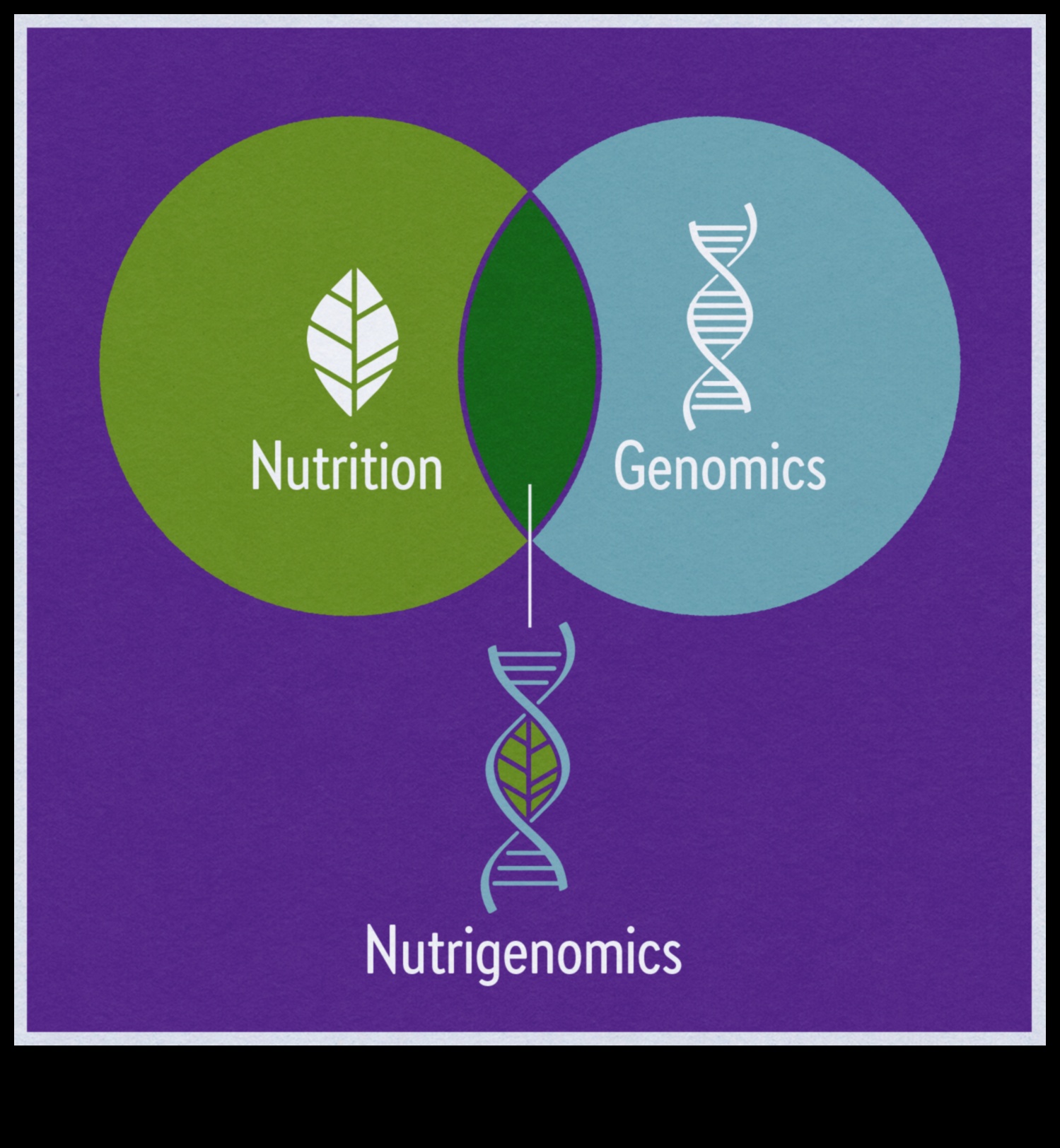 Genetik Menünüz: Sağlıklı Yaşam İçin Nutrigenomik Stratejiler